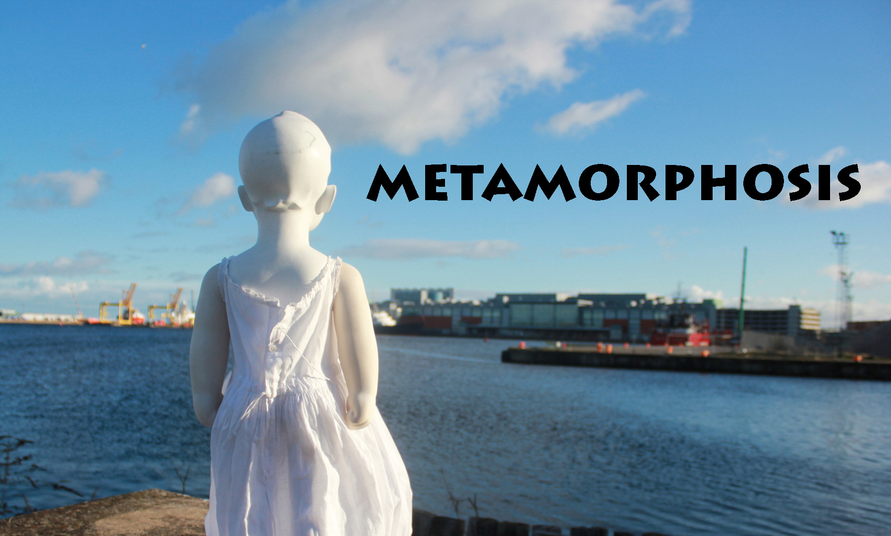 Metamorphosis feature documentary